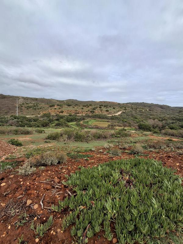 0 Bedroom Property for Sale in Outeniquasbosch Western Cape